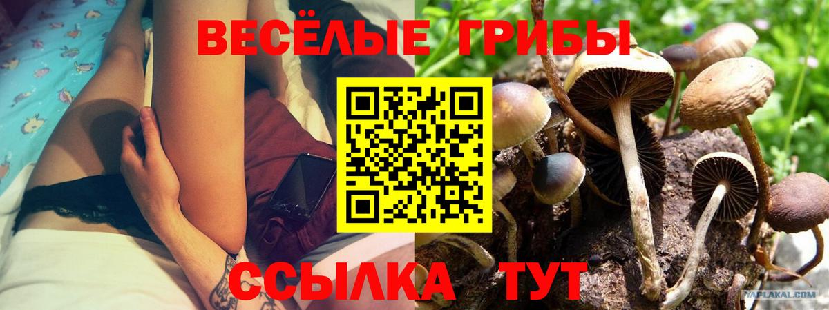 Галлюциногенные грибы Cubensis  Вход с VPN  Ульяновск 