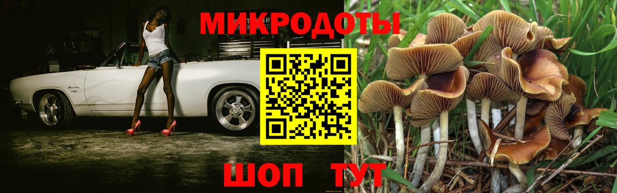Псилоцибиновые грибы Cubensis Ульяновск